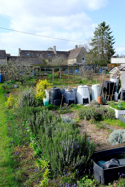 The Allotments